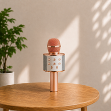 Wireless Microphone Hifi Speaker